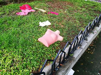 High angle view of pink flower on field