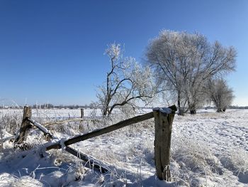 Bare tree on snow covered field against sky