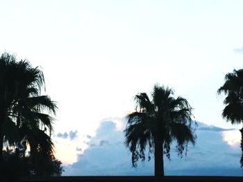Low angle view of coconut palm trees against sky during sunset