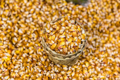 Close-up of wheat