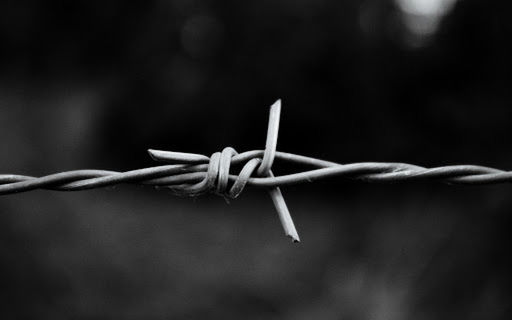 CLOSE-UP OF BARBED WIRE