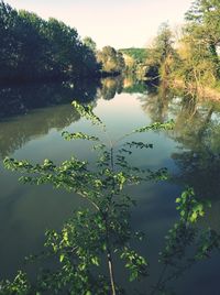 Reflection of trees in lake against sky