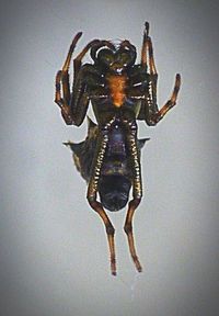 Close-up of built structure