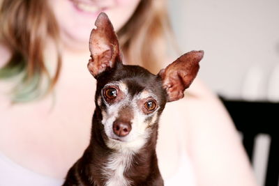 Midsection of young woman holding miniature pinscher at home