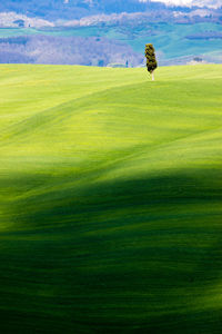 High angle view of golf course