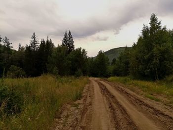 Dirt road amidst trees against sky