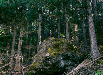 Man amidst trees in forest against sky
