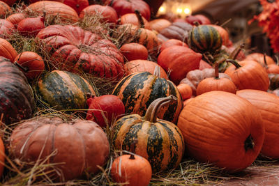 Orange pumpkins in the hay. autumn decoration. the time of harvest. halloween and thanksgiving.