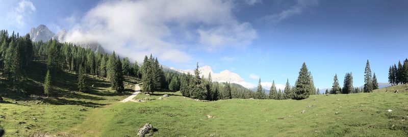 Panoramic view of trees on field against sky