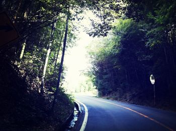 Empty road along trees