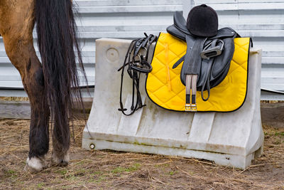 Chair to mount horse, protective helmet and other equitation