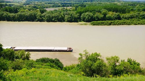 Scenic view of river amidst trees