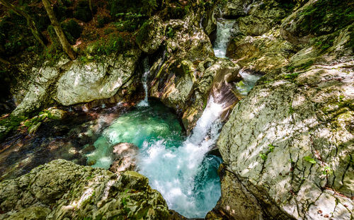 Scenic view of waterfall in forest