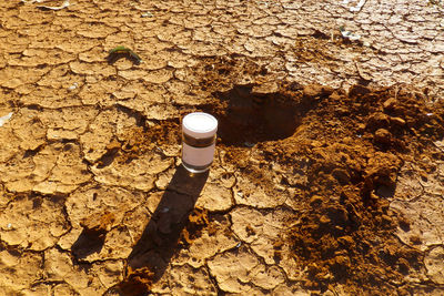 High angle view of mud