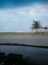 Palm trees by road against sky