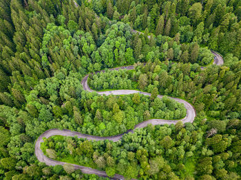 High angle view of road amidst trees in forest