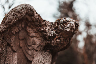 Close-up of statue