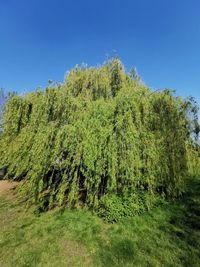 Scenic view of land against clear blue sky