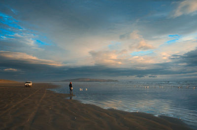 Rear view of man standing on beach against sky