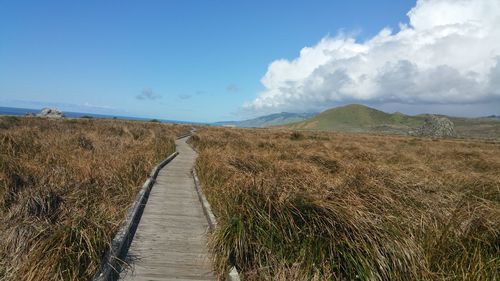 Panoramic view of wooden footpath on field against sky