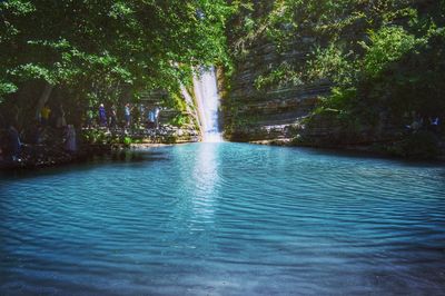 Scenic view of waterfall in forest