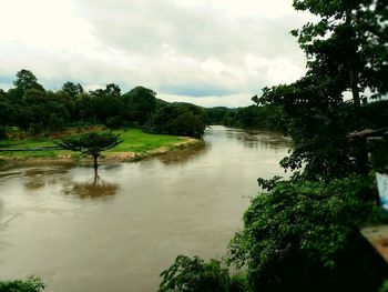 Scenic view of river amidst trees against sky