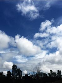 Low angle view of trees against cloudy sky