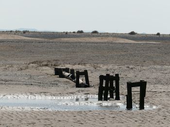 Wooden posts on beach against clear sky