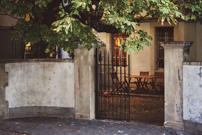 Potted plants outside house against building