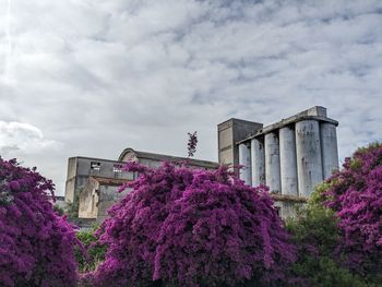 Low angle view of old building against sky