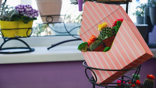 Close-up of potted plant on table