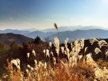 Scenic view of mountains