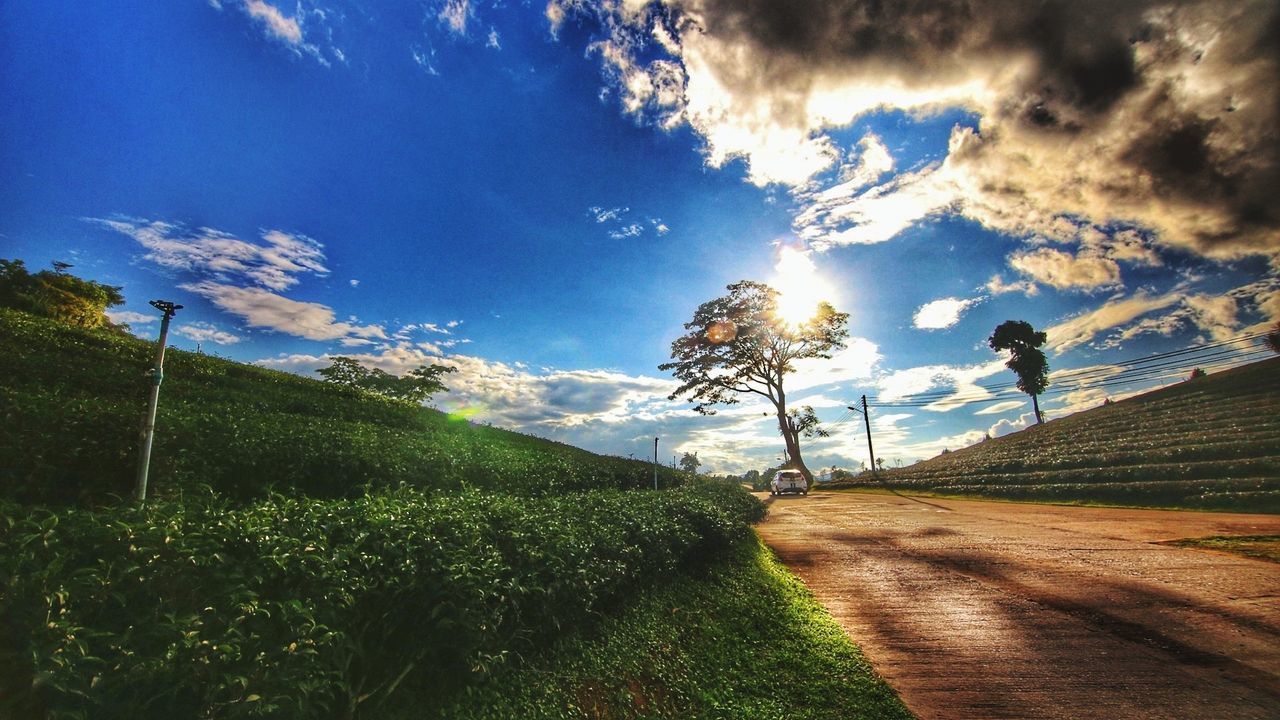 ROAD AMIDST TREES AGAINST SKY