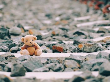 Close-up of stuffed toy on rock