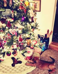 Close-up of christmas tree at home