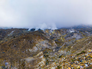environment