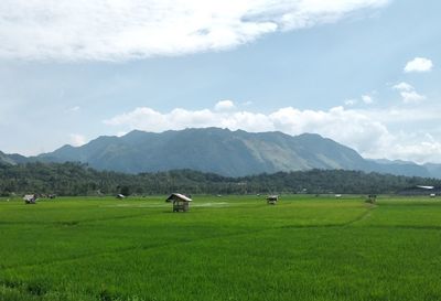 View of huts on field against sky
