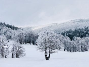 Scenic view of snow covered landscape against sky