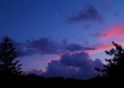 Silhouette of trees at sunset