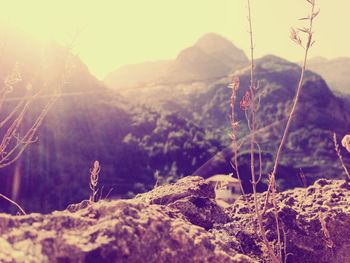 Close-up of spider web on mountain against sky