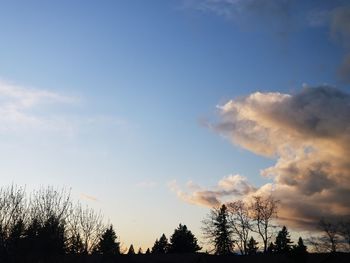 Low angle view of silhouette trees against sky