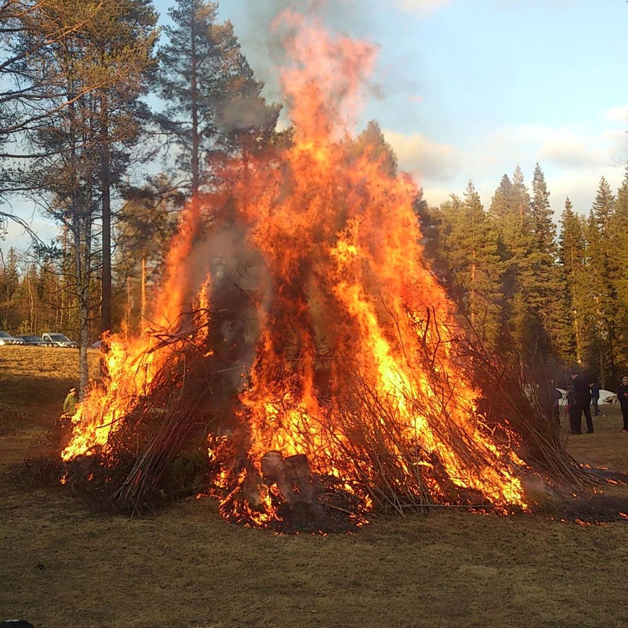 Huntingwitches