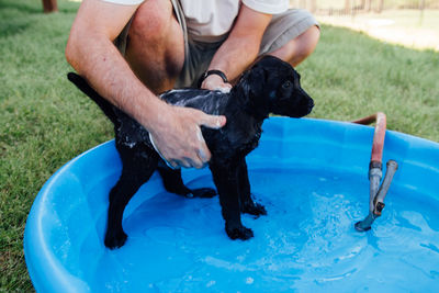 Midsection of man bathing dog in wading pool at yard