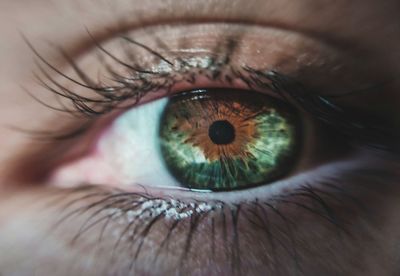 Extreme close-up of human eye