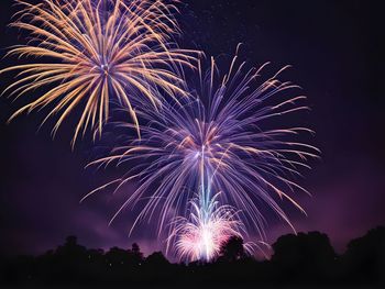 Low angle view of firework display at night