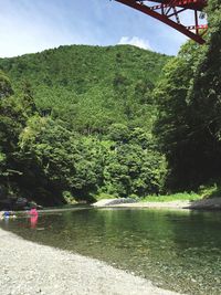 Scenic view of river with trees in background