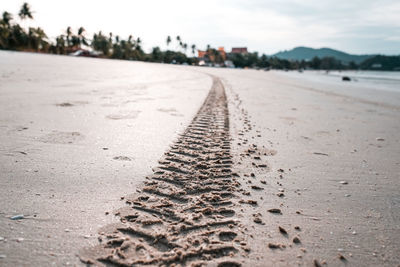 Surface level of tire tracks on road