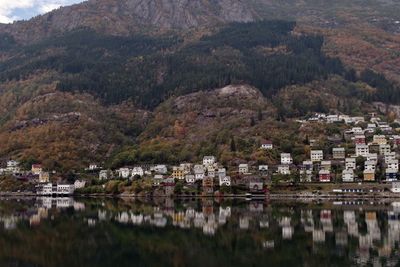 Reflection of trees and buildings in lake