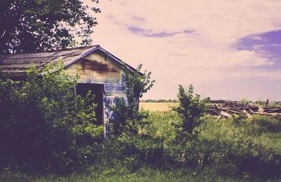 Built structure with trees in background