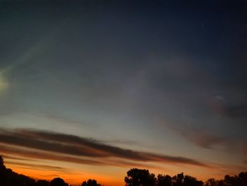 Low angle view of silhouette trees against sky during sunset